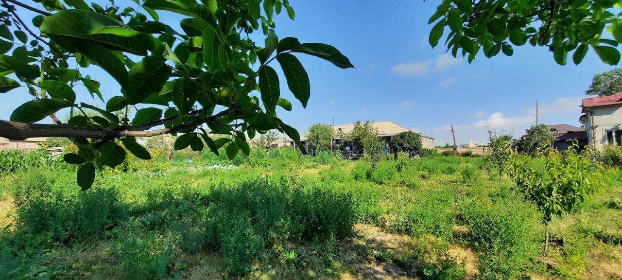The Lichk Lodge Dış mekan fotoğraf